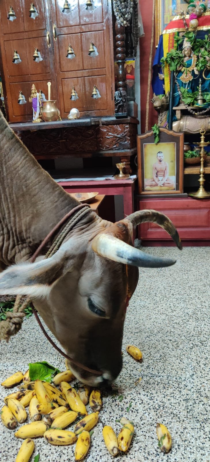 Historic Temple Restoration – Preserving Cultural Heritage