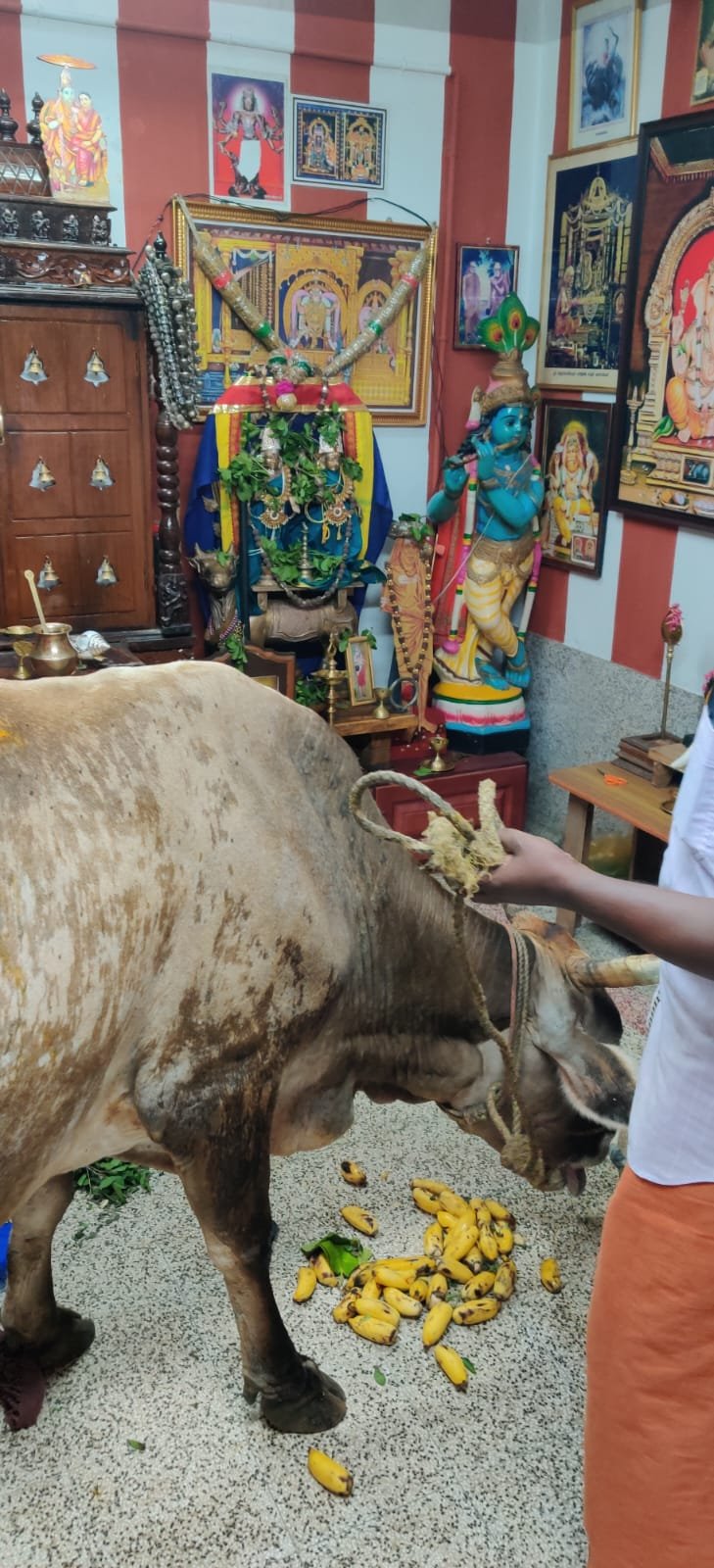 Historic Temple Restoration – Preserving Cultural Heritage