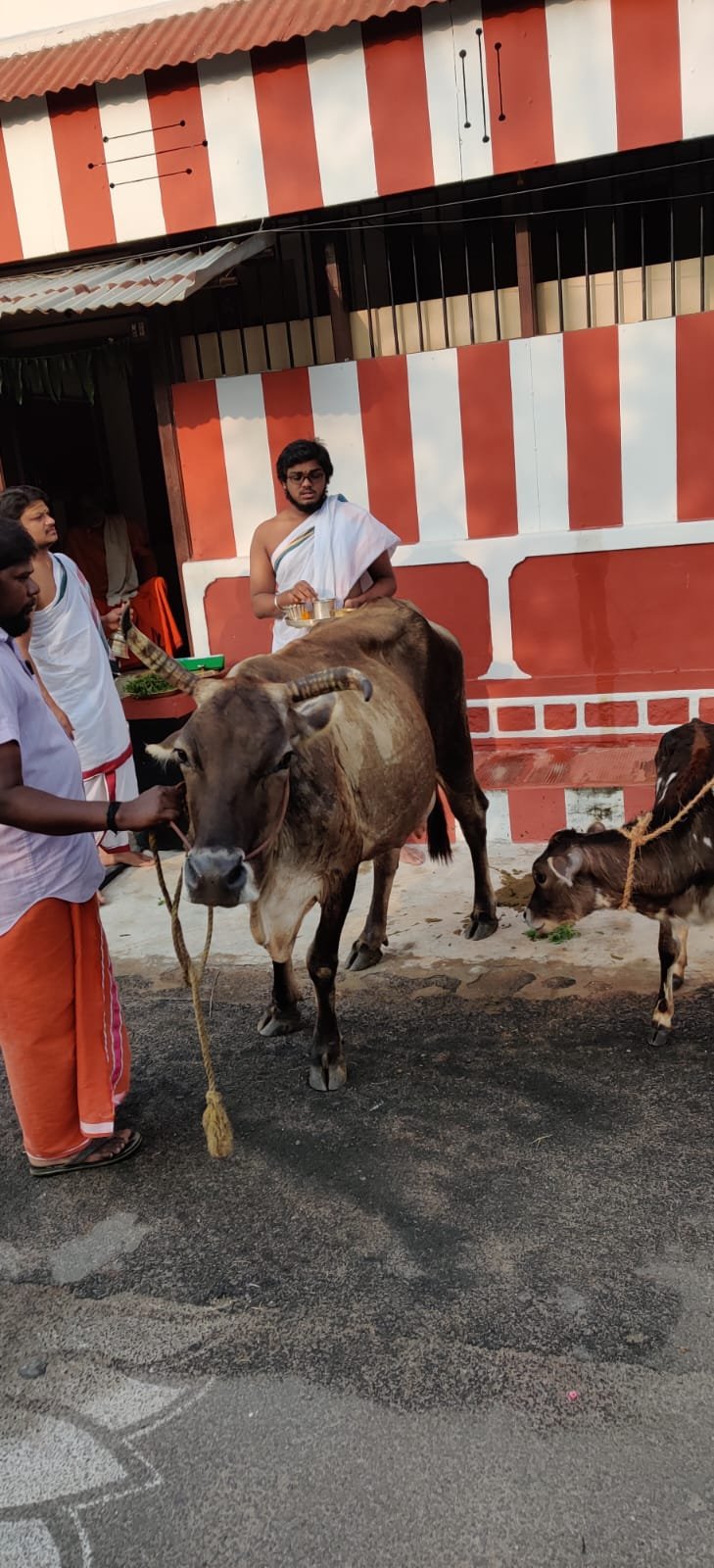 Historic Temple Restoration – Preserving Cultural Heritage