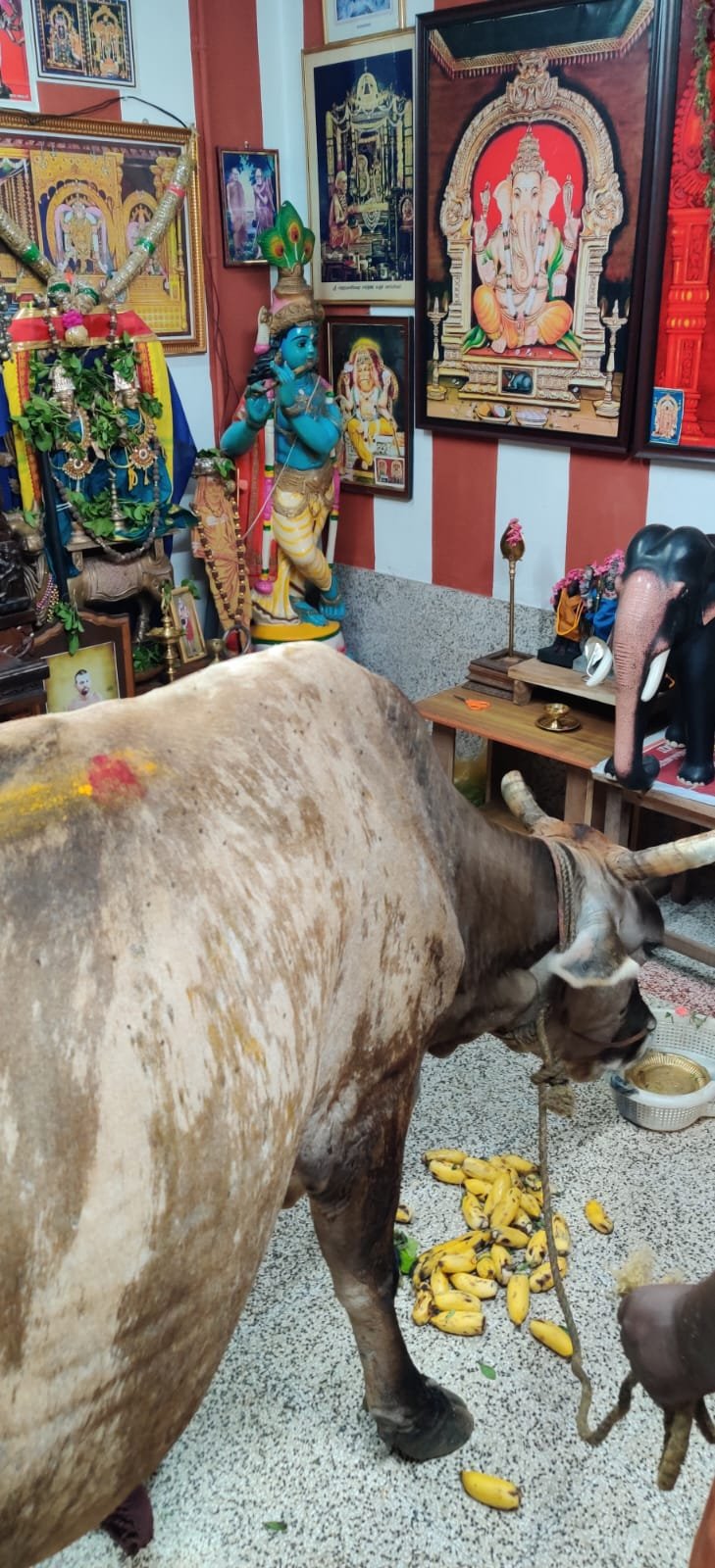 Historic Temple Restoration – Preserving Cultural Heritage