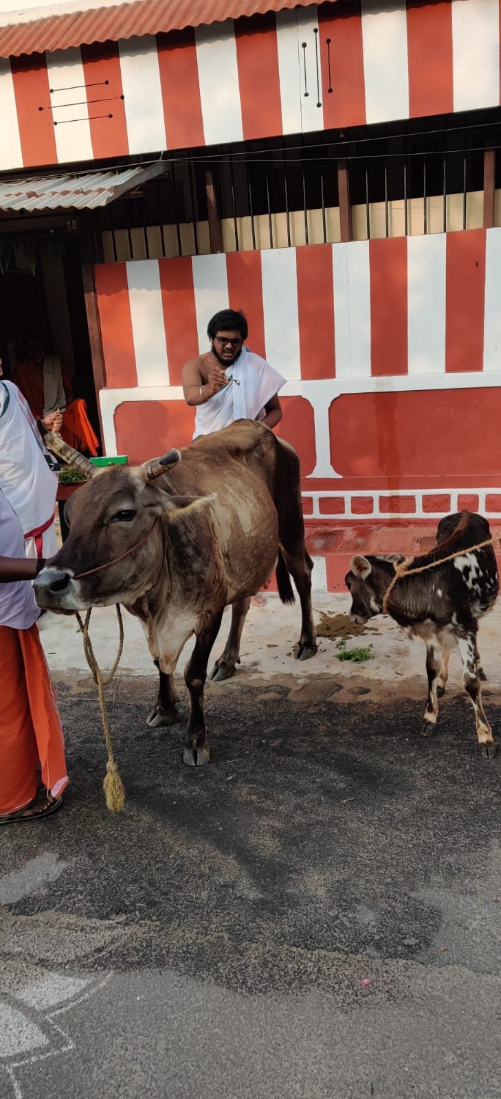 Historic Temple Restoration – Preserving Cultural Heritage