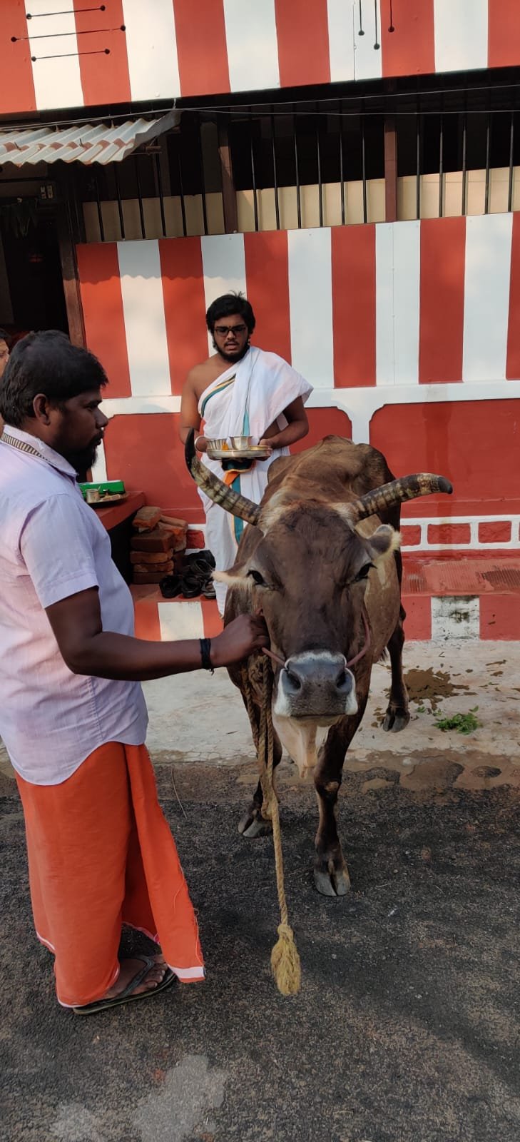 Historic Temple Restoration – Preserving Cultural Heritage
